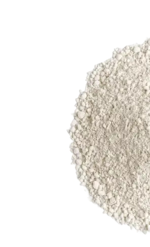 L-Carnitine powder ingredient