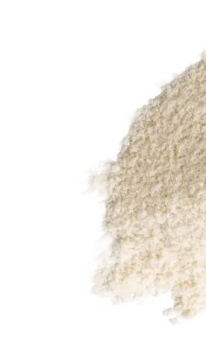 MCT powder ingredient